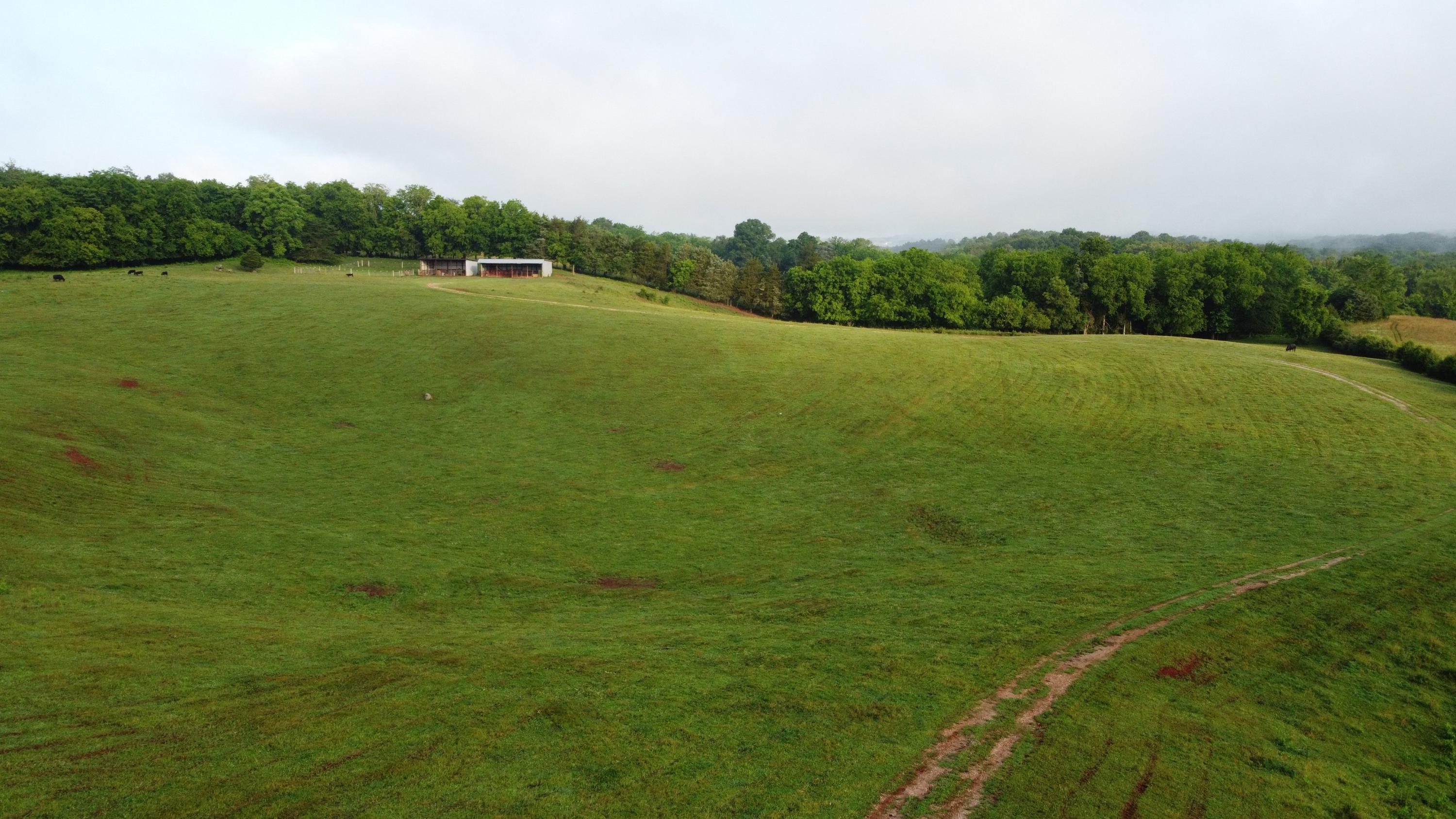 Cliff Top Road Blaine, TN 37709 - Photo 15 of 17 Clifftop 15