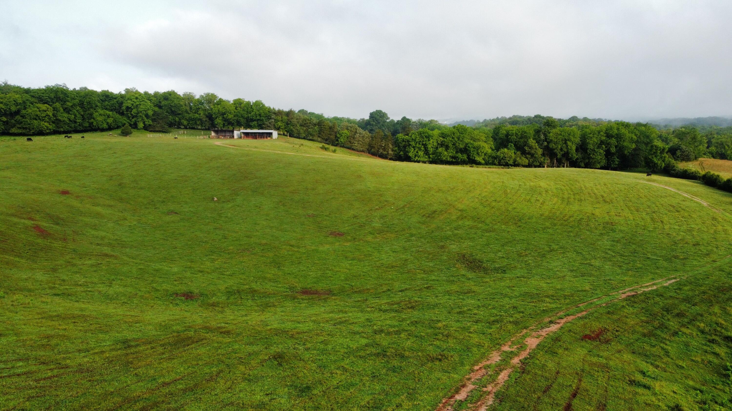 Cliff Top Road Blaine, TN 37709 - Photo 16 of 17 Clifftop 16