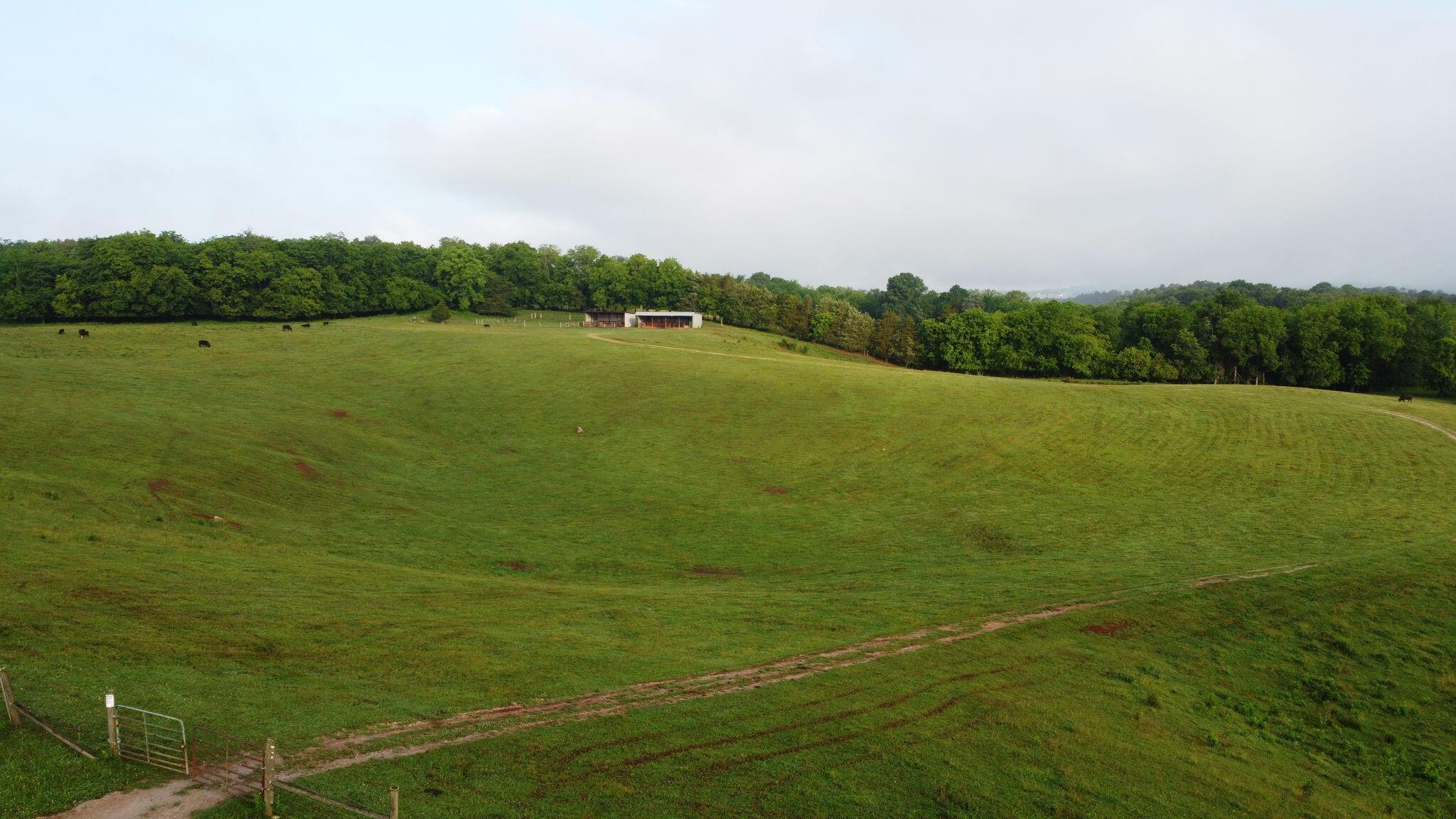 Cliff Top Road Blaine, TN 37709 - Photo 17 of 17 Clifftop 17