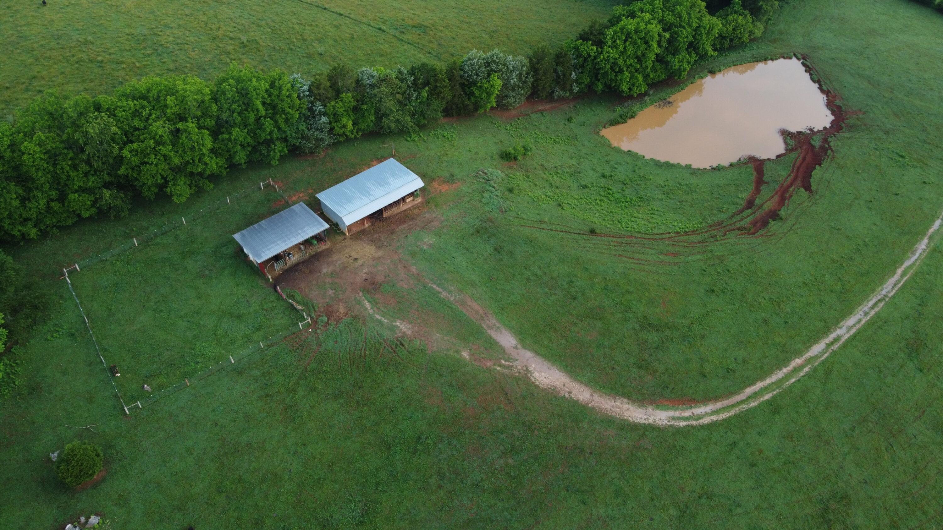 Cliff Top Road Blaine, TN 37709 - Photo 9 of 17 Clifftop 9