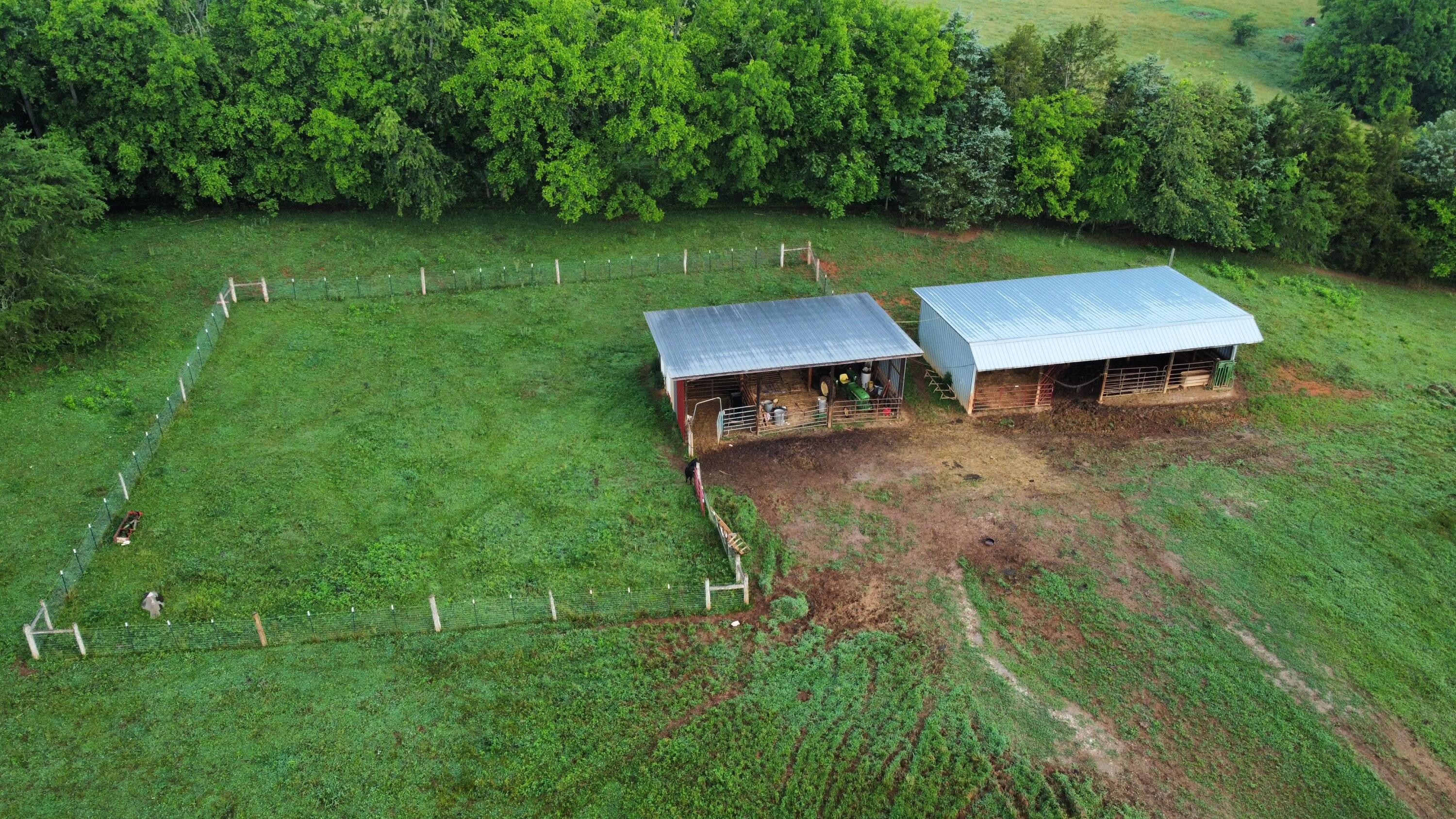 Cliff Top Road Blaine, TN 37709 - Photo 10 of 17 Clifftop 10