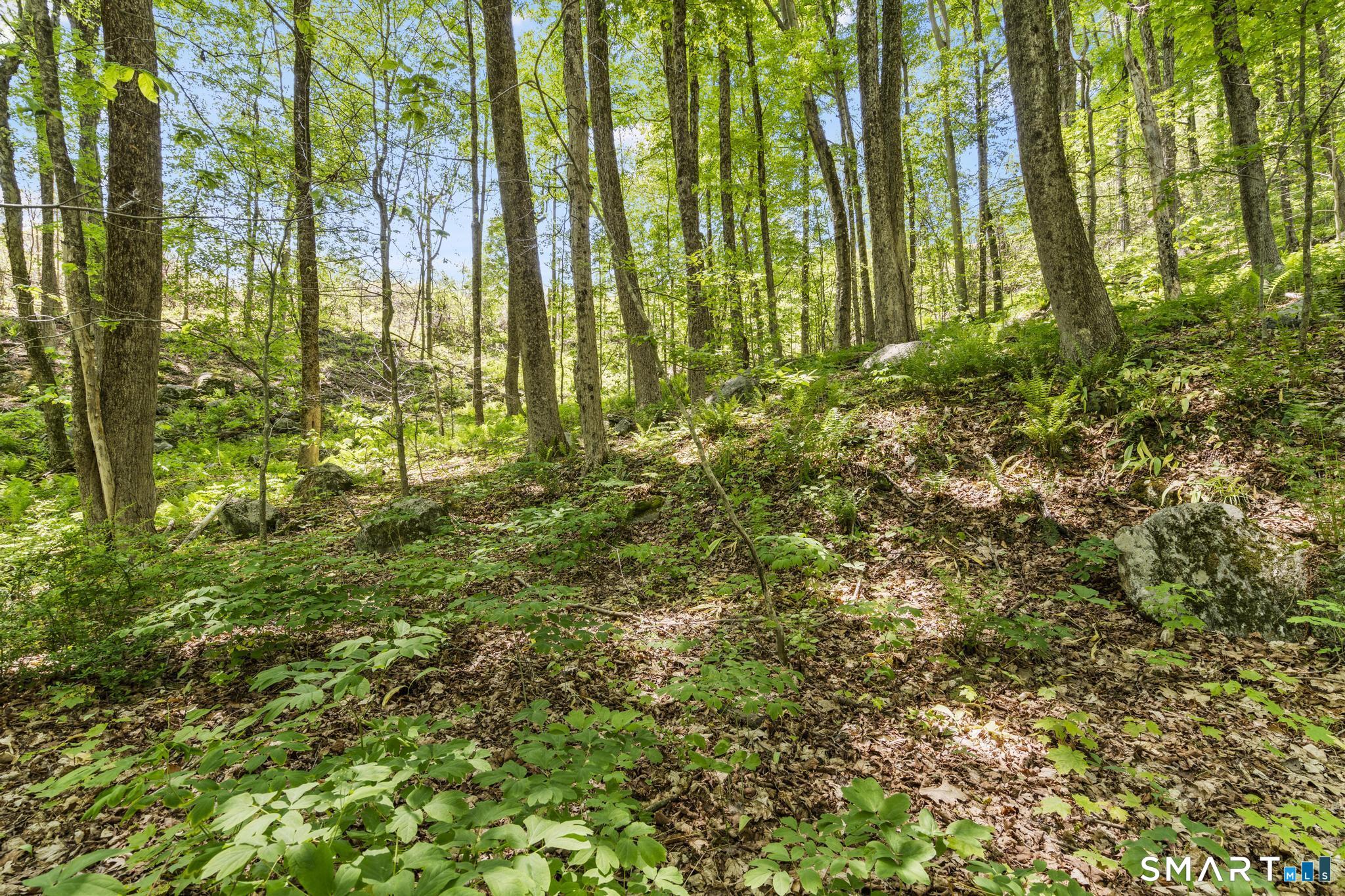 321 Colebrook Road Winchester, CT 06098 - Photo 28 of 39