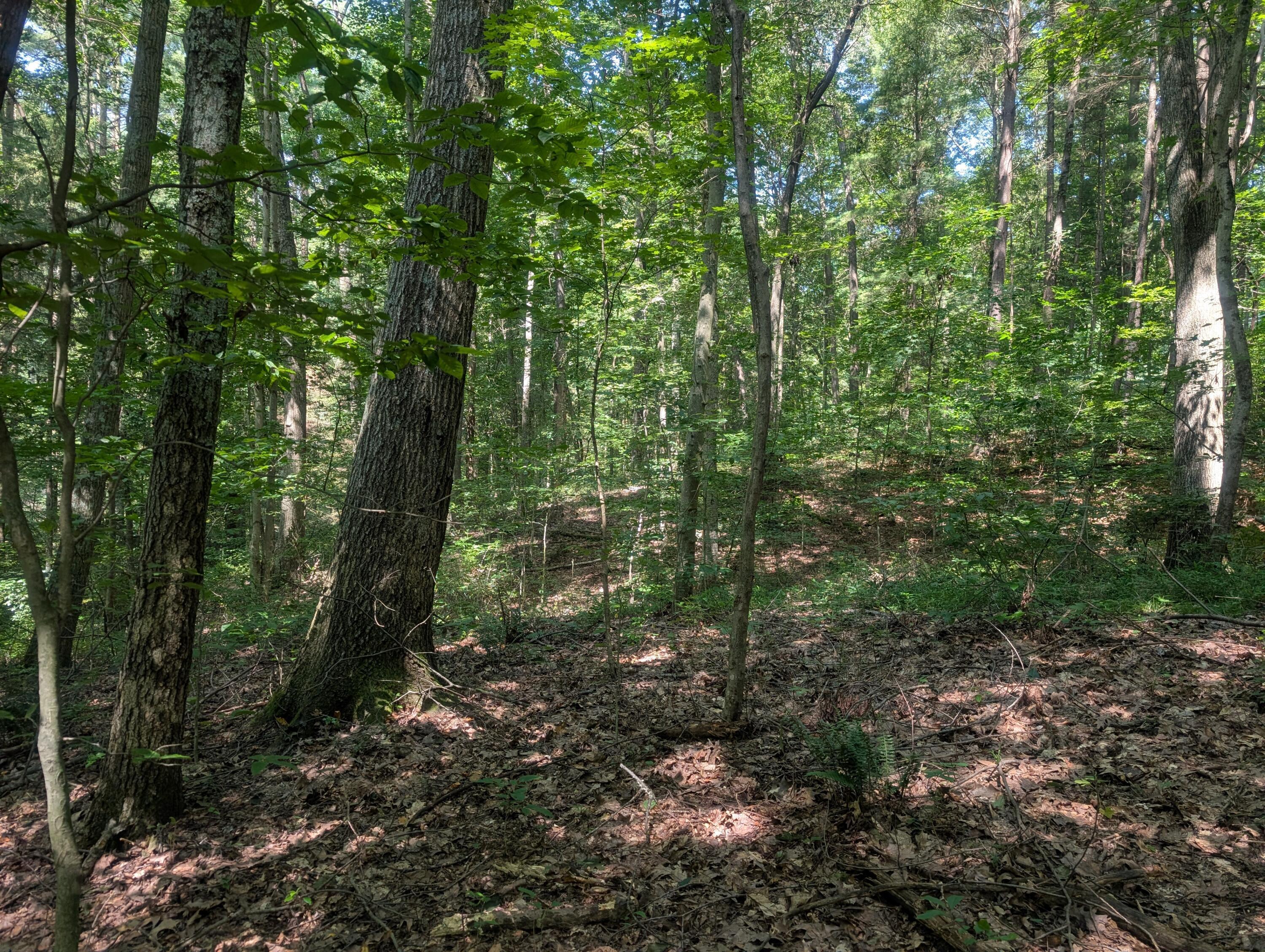 0 Toll Gate Road Somerset, OH 43783 - Photo 26 of 40 26