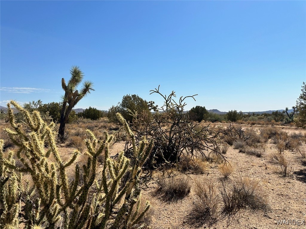0 East Shadow Ridge Drive Yucca, AZ 86438 - Photo 11 of 15 Other