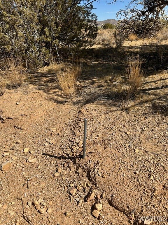 0 East Shadow Ridge Drive Yucca, AZ 86438 - Photo 12 of 15 Other