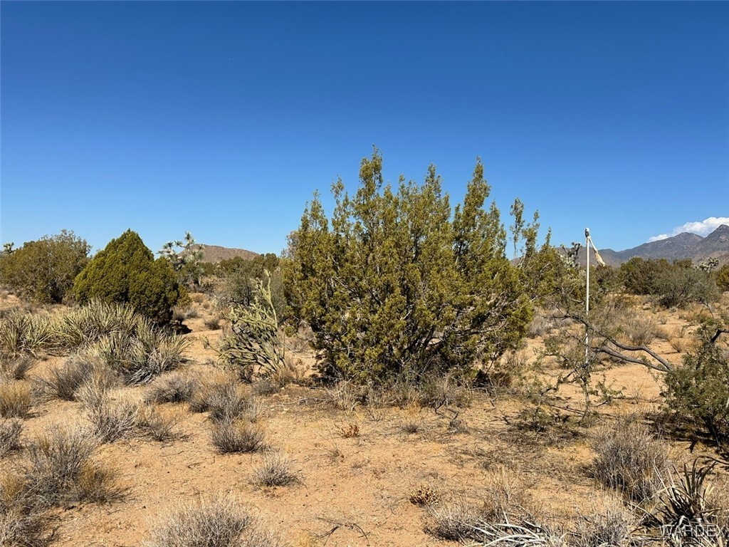 0 East Shadow Ridge Drive Yucca, AZ 86438 - Photo 13 of 15 Other