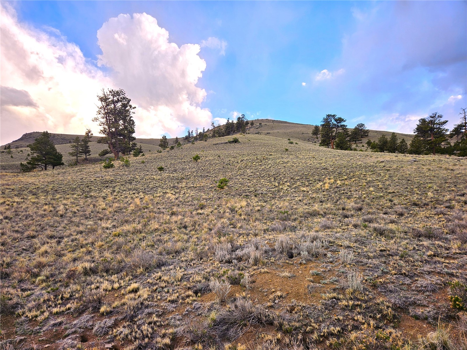 Pcs#25427 Yuma Road Hartsel, CO 80449 - Photo 11 of 29