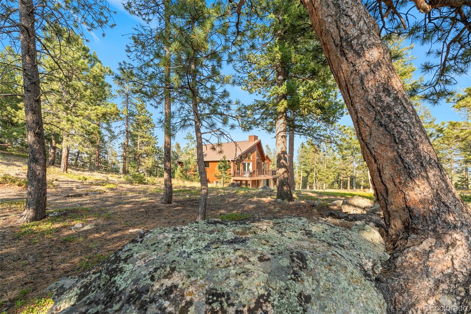 9831 South Warhawk Road Conifer, CO 80433 - Photo 4 of 41 Gallery Image 4