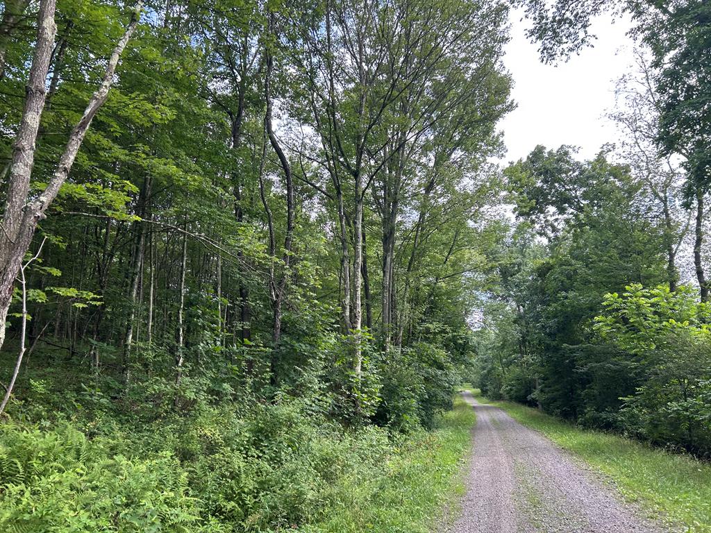 ... Kelly Road Rimersburg, PA 16248 - Photo 1 of 8 Main View