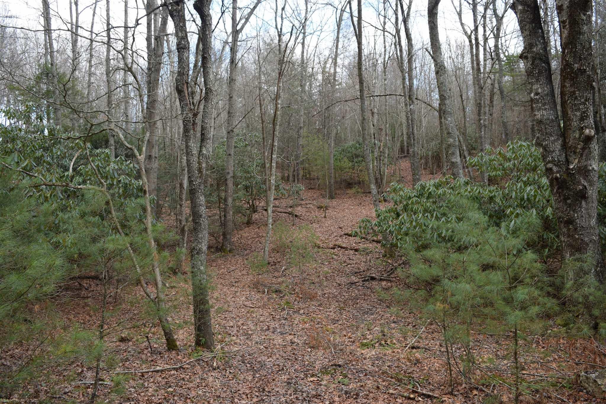 Tbd Alum Ridge Road Northwest Floyd, VA 24091 - Photo 13 of 18 Gallery Image 13