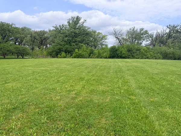 a view of a field with an ocean and trees in the background