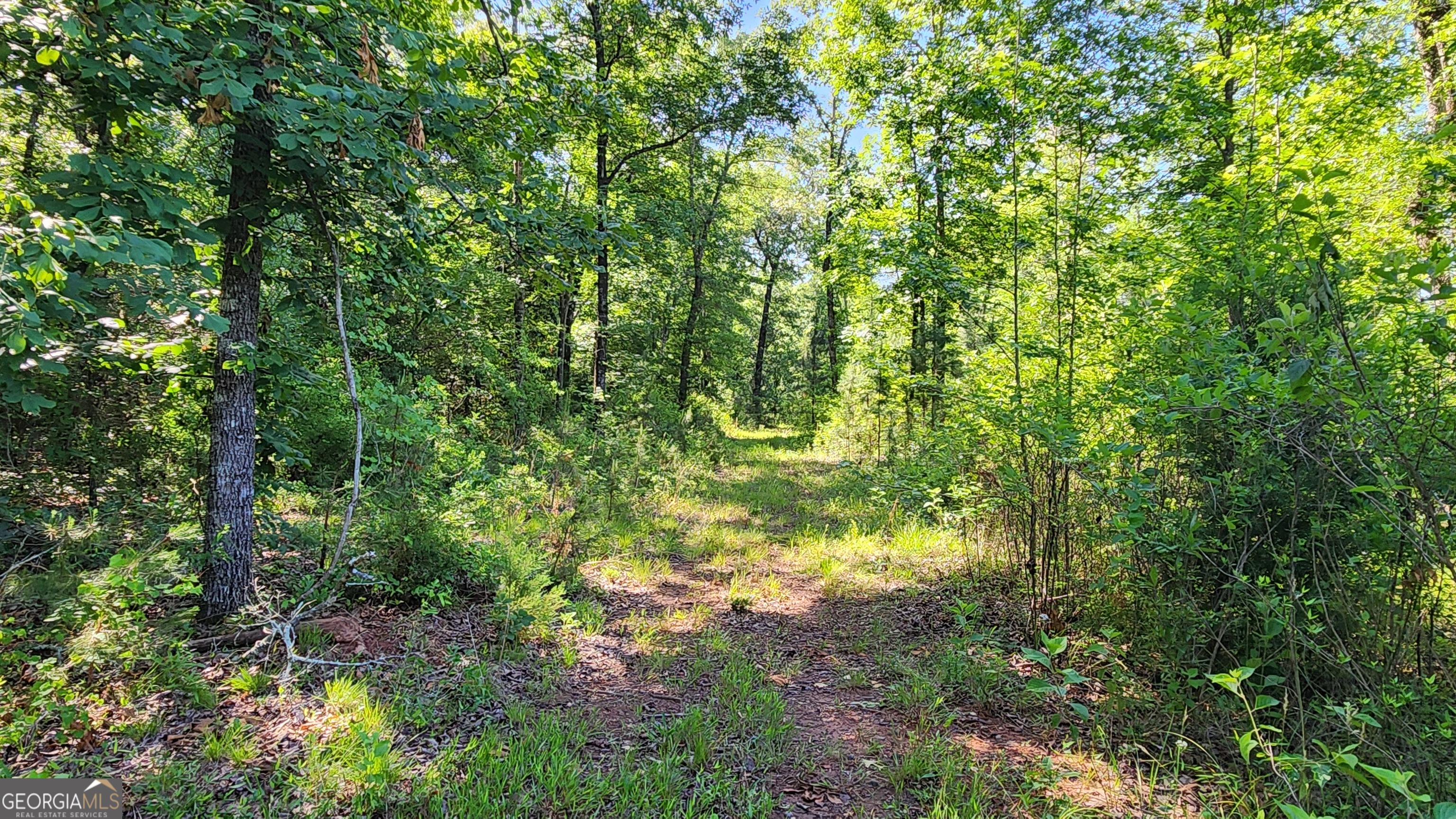 246 Melton Mill Road Dawson, GA 39842 - Photo 61 of 78