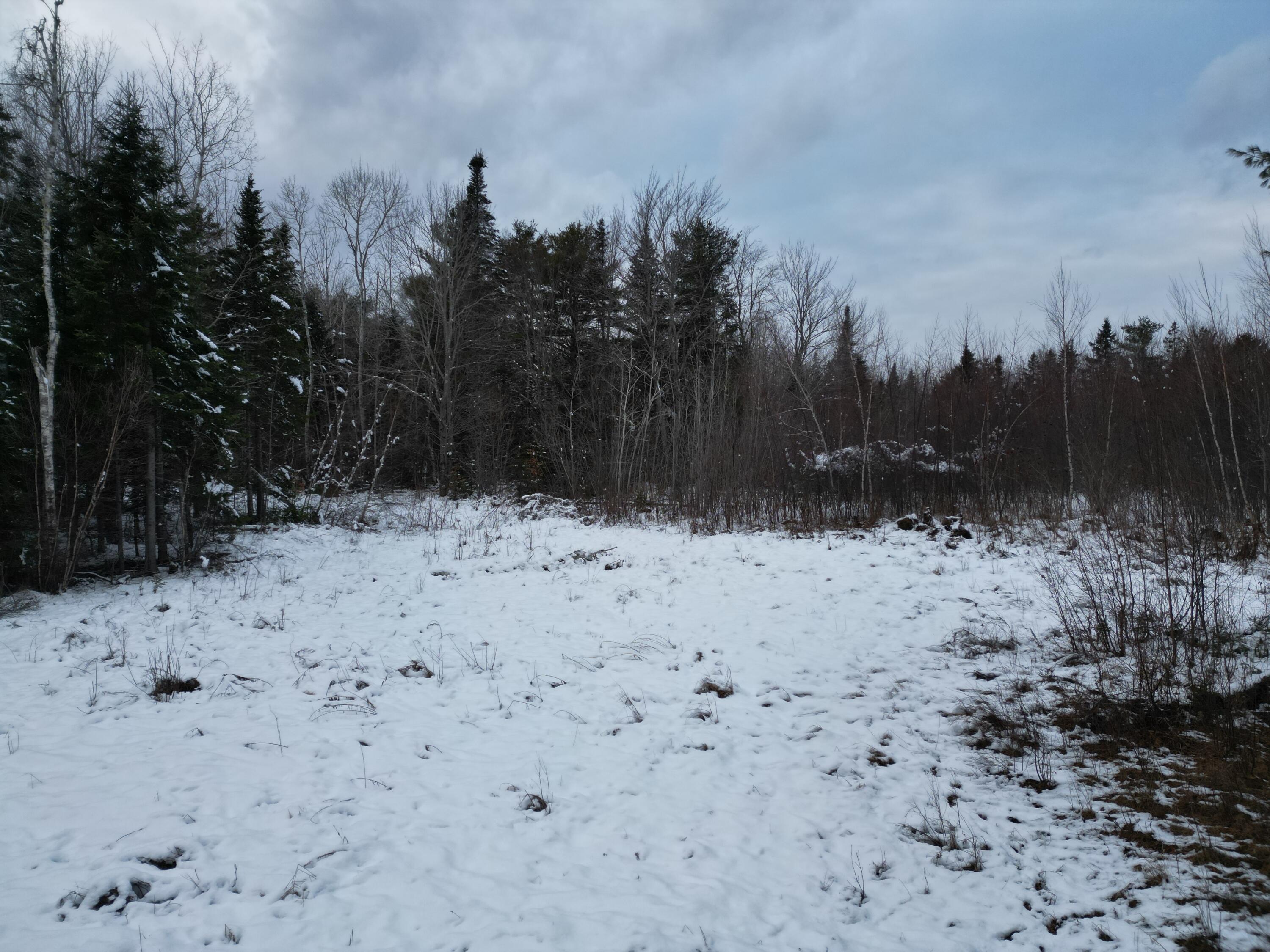 241 Pickle Ridge Road Springfield, ME 04487 - Photo 11 of 19 DJI_0031