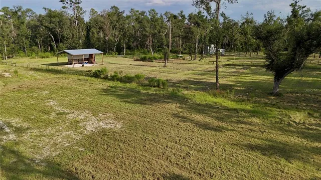 a view of a backyard