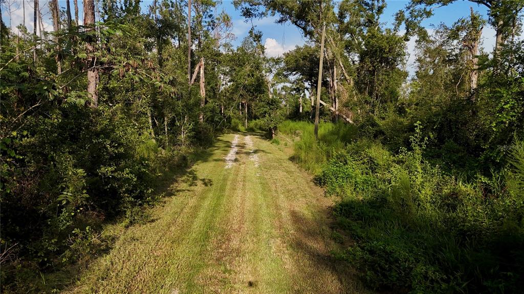 4008 77th Boulevard Jasper, FL 32052 - Photo 19 of 35 a view of yard with green space