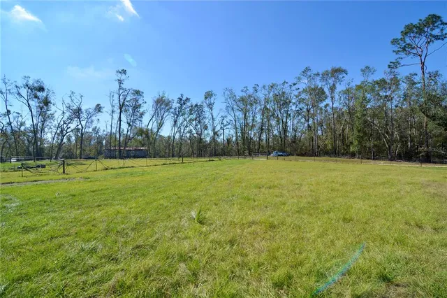 a view of a park with large trees