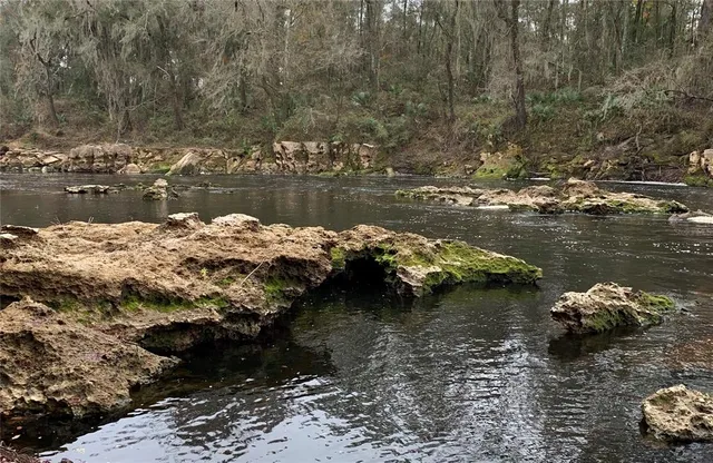a view of a backyard of the house
