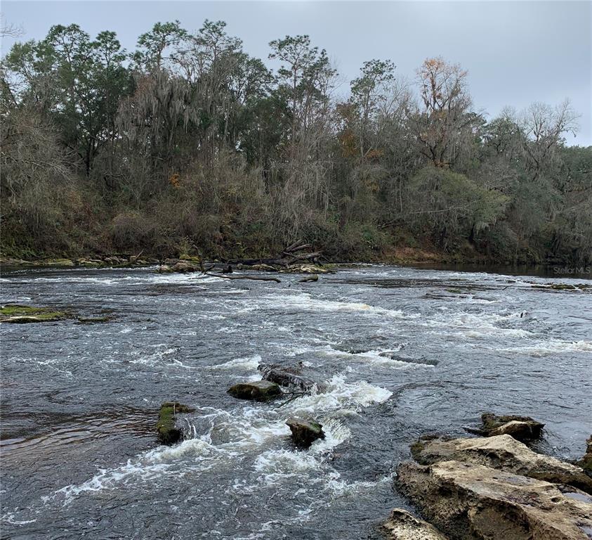4008 77th Boulevard Jasper, FL 32052 - Photo 29 of 35 a view of a fire pit with large trees