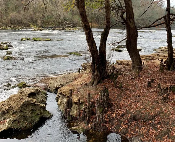 a view of a forest with a houses