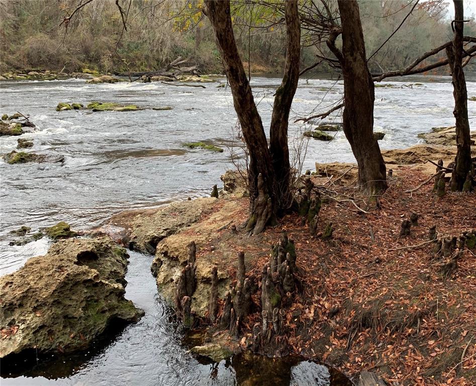 4008 77th Boulevard Jasper, FL 32052 - Photo 30 of 35 a view of a backyard of the house