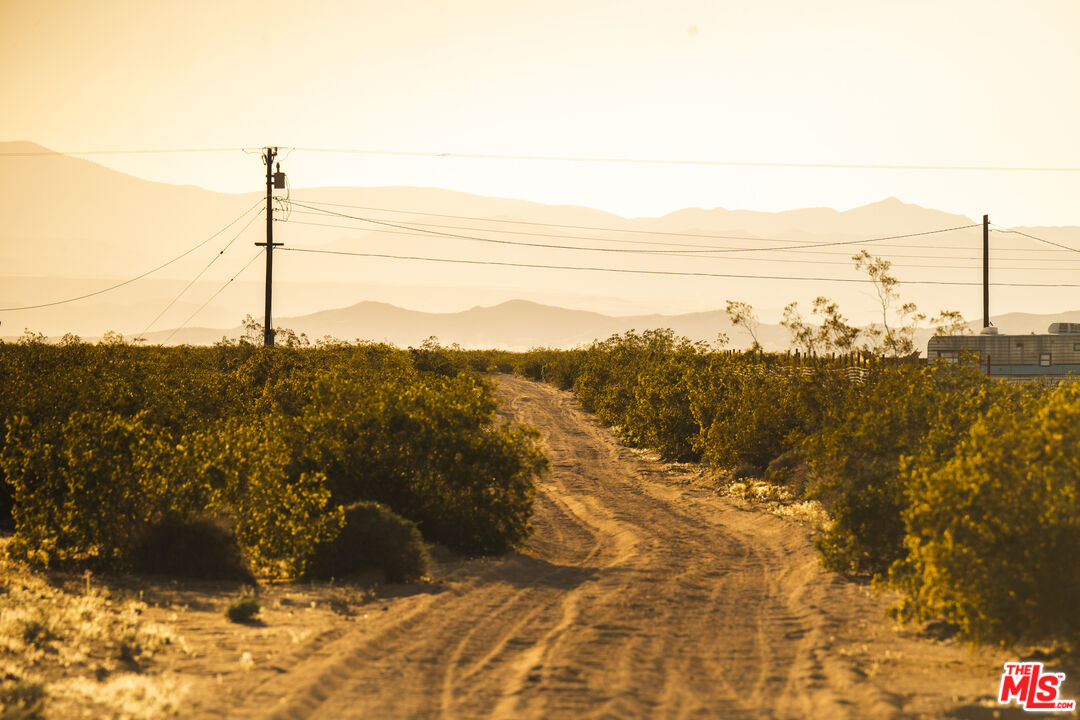 1304 Mile Square Road Joshua Tree, CA 92252 - Photo 28 of 37