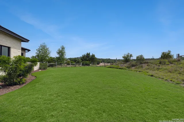 a view of a grassy field with trees
