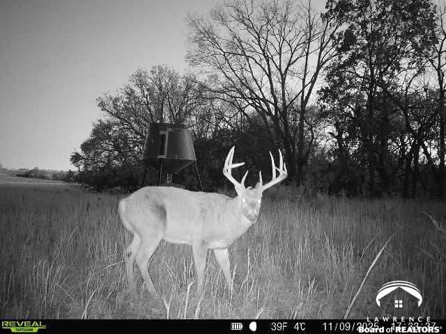 240 Acres M/l North 750th Road Overbrook, KS 66524 - Photo 21 of 29