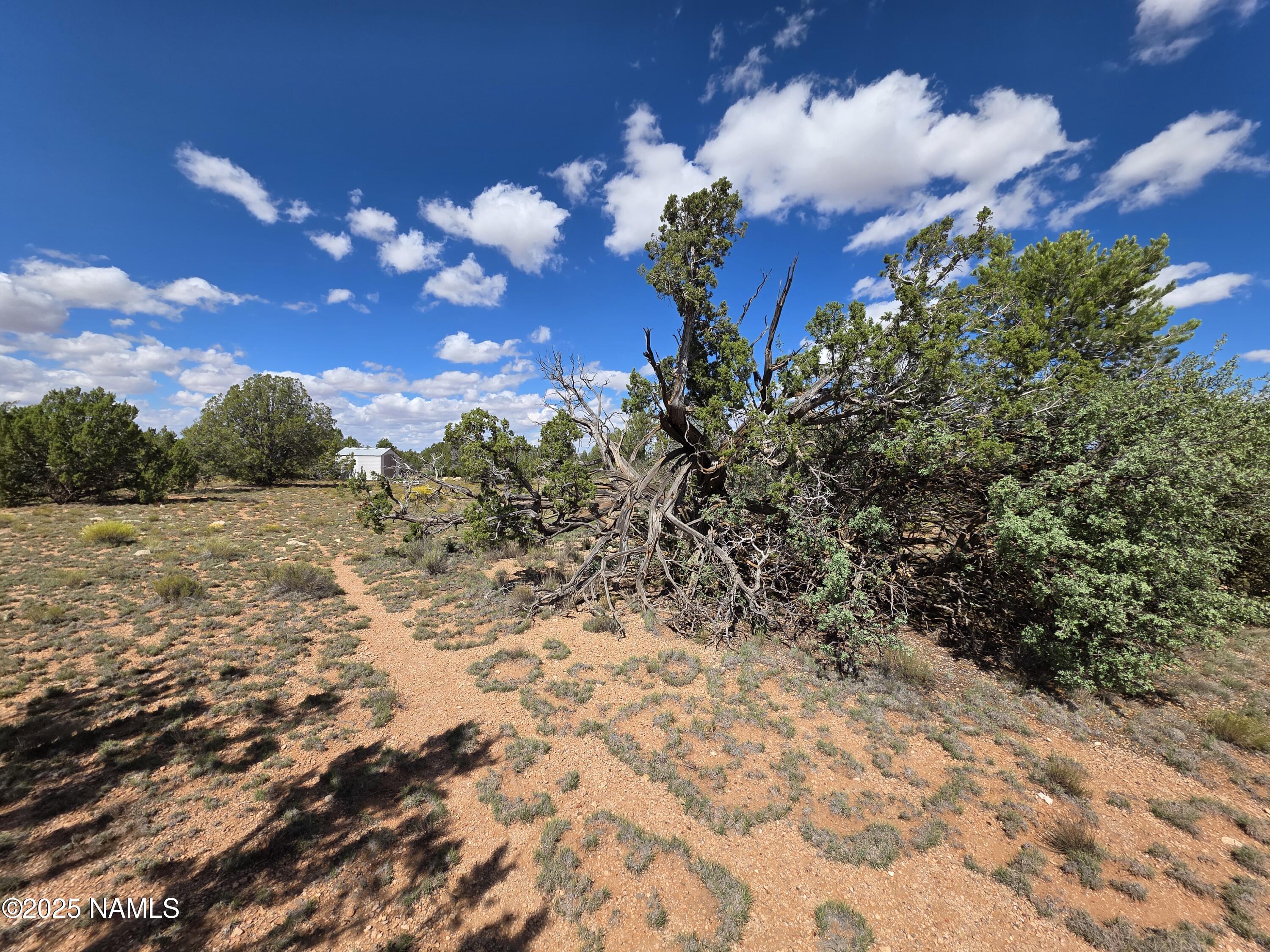 10422 West Red Bluff Road Williams, AZ 86046 - Photo 13 of 28 1000053463