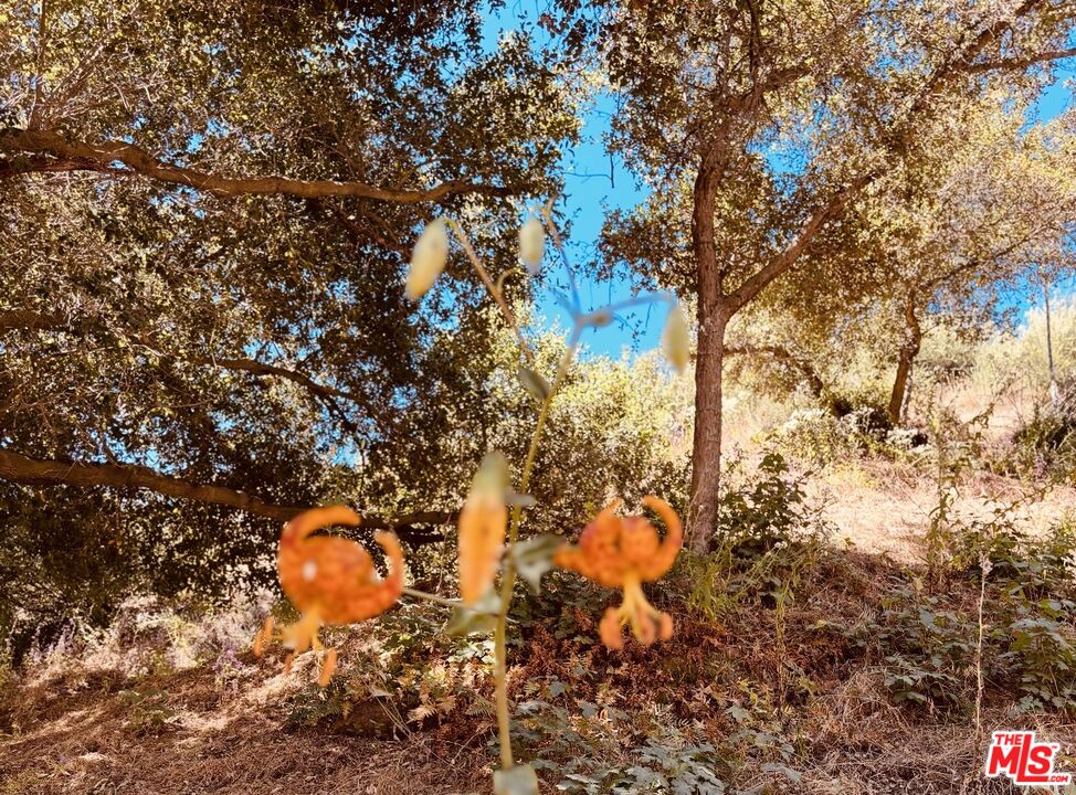 0 Red Rock Road Topanga, CA 90290 - Photo 21 of 53