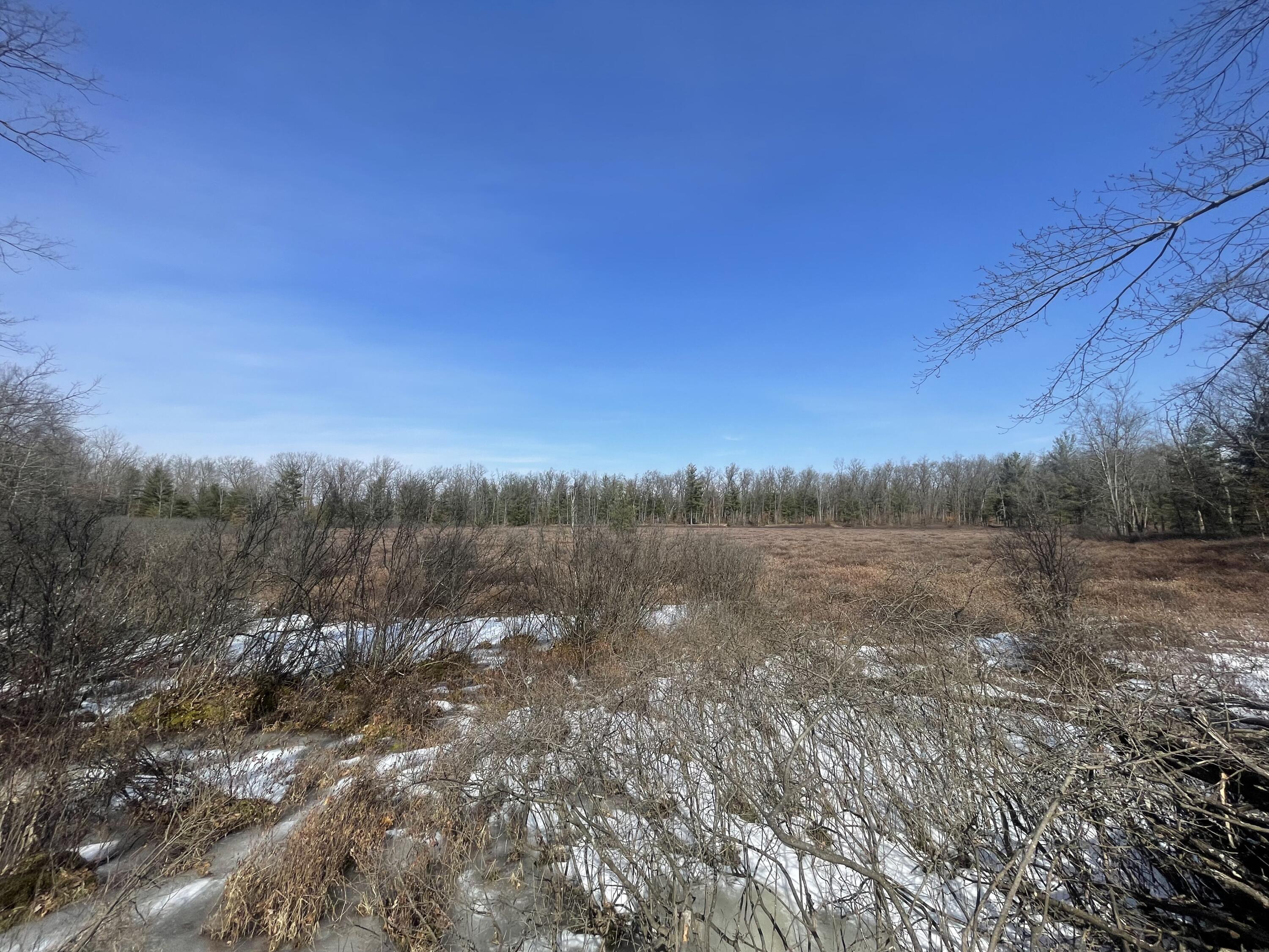 21940 Jefferson Road Morley, MI 49336 - Photo 14 of 21 13