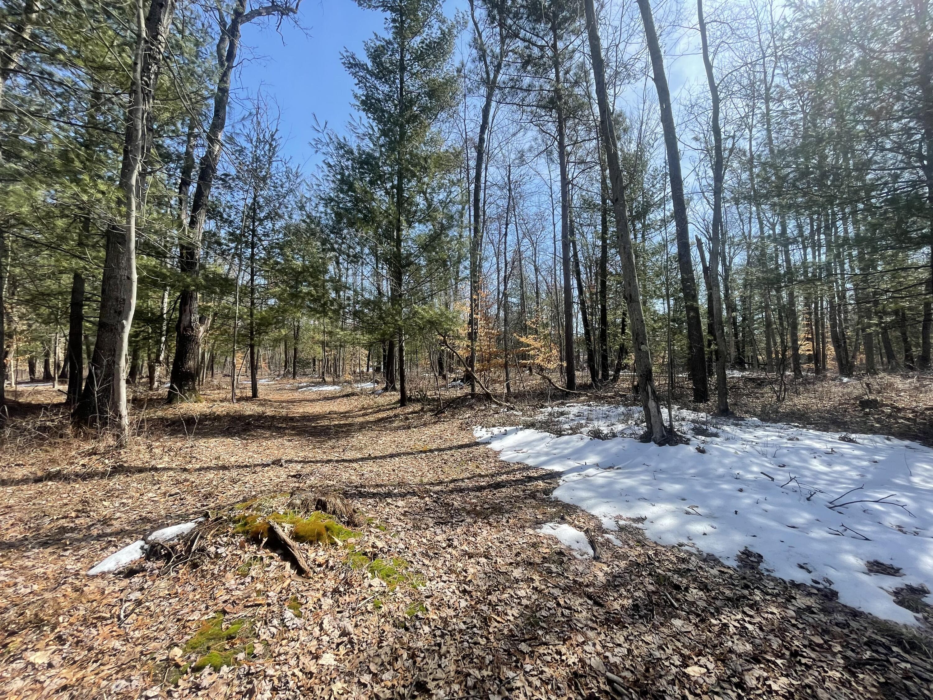 21940 Jefferson Road Morley, MI 49336 - Photo 17 of 21 16