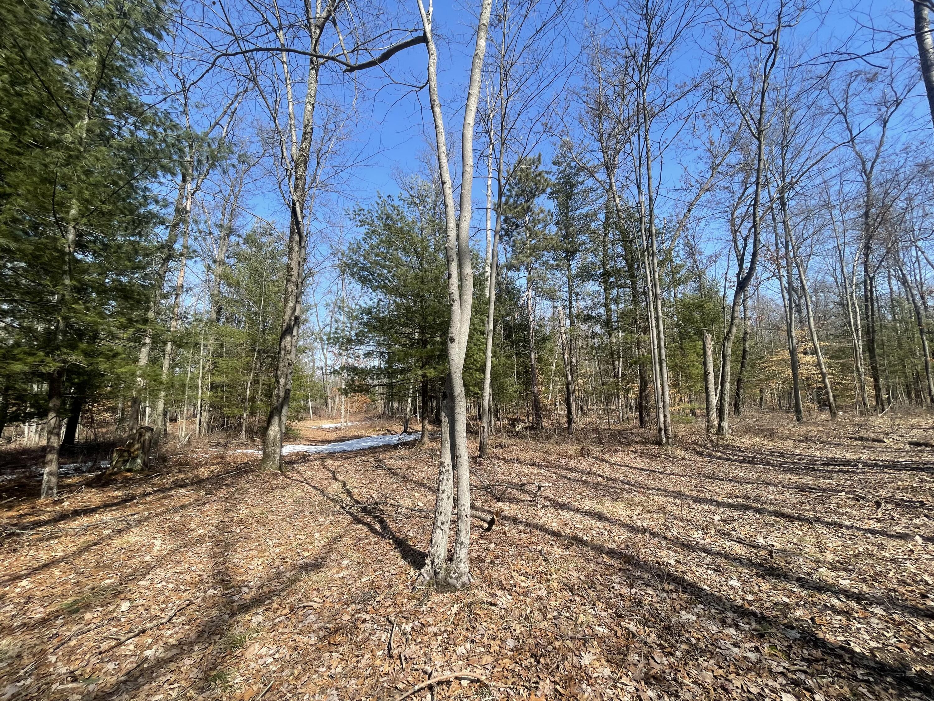 21940 Jefferson Road Morley, MI 49336 - Photo 10 of 21 9
