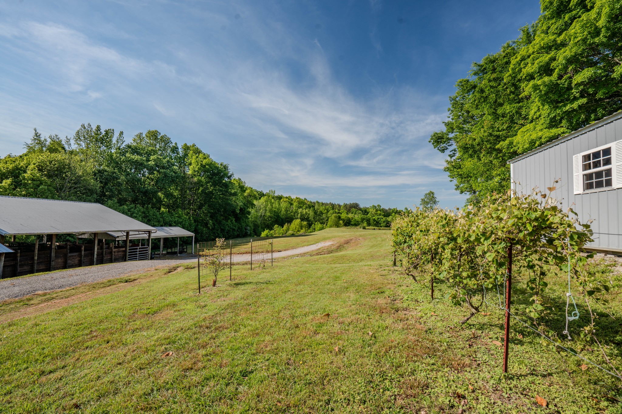 875 Waterloo Road Westpoint, TN 38486 - Photo 23 of 89 Gallery Image 23