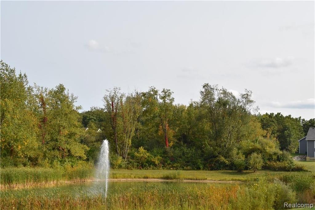 Lot 67 Prairie Rose Howell, MI 48843 - Photo 14 of 16
