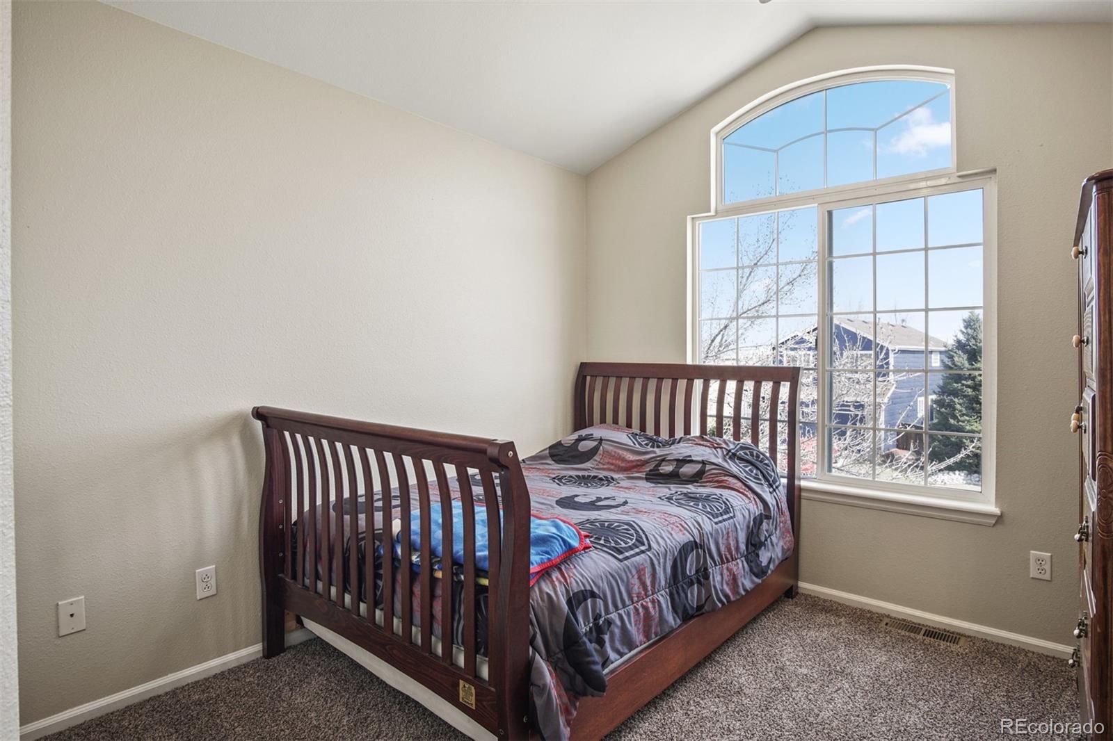 9481 High Cliffe Street Highlands Ranch, CO 80129 - Photo 20 of 27 Gallery Image 20