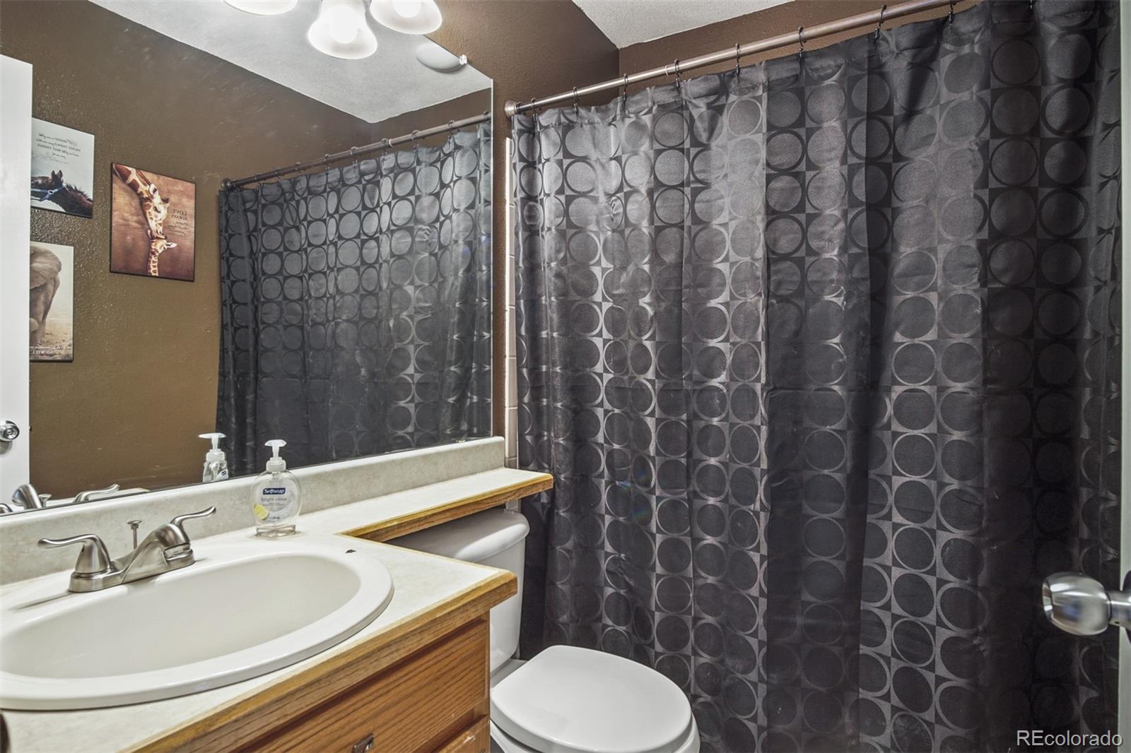 9481 High Cliffe Street Highlands Ranch, CO 80129 - Photo 21 of 27 Gallery Image 21