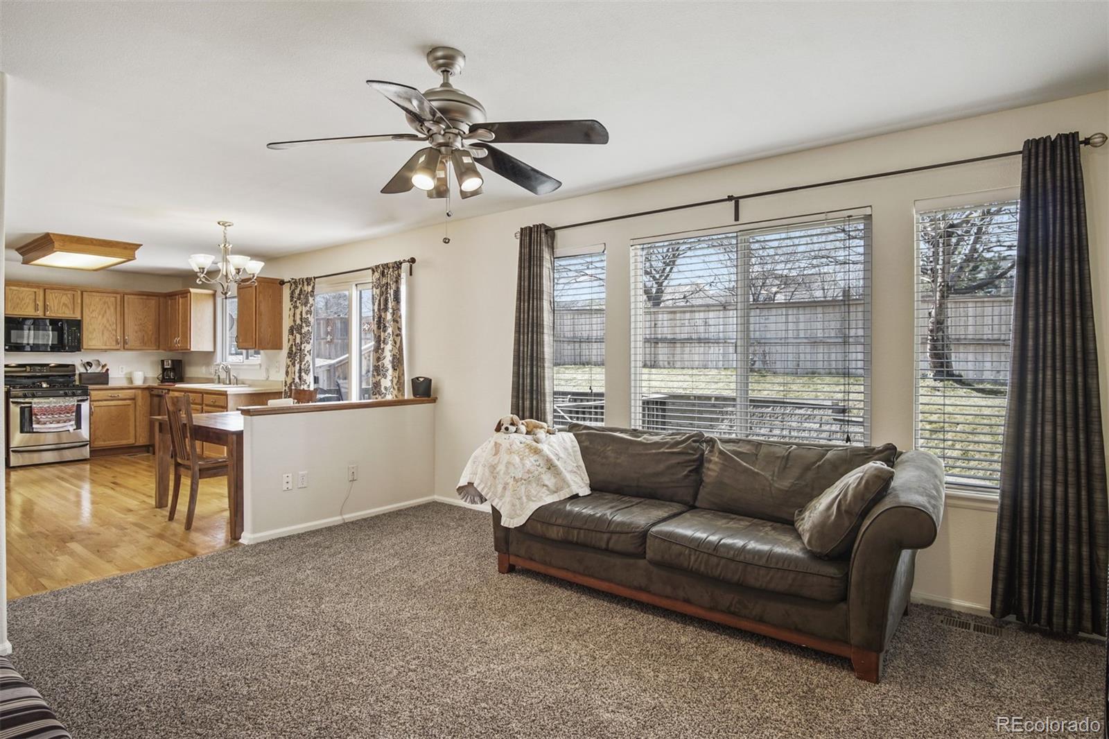 9481 High Cliffe Street Highlands Ranch, CO 80129 - Photo 8 of 27 Gallery Image 8