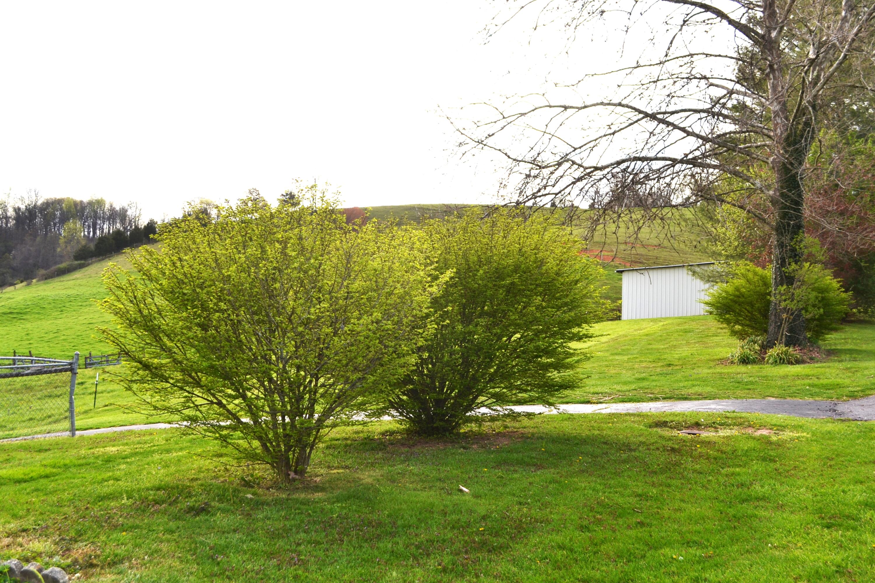 19660 Pairgin Road Bristol, VA 24202 - Photo 26 of 28 DSC_0337