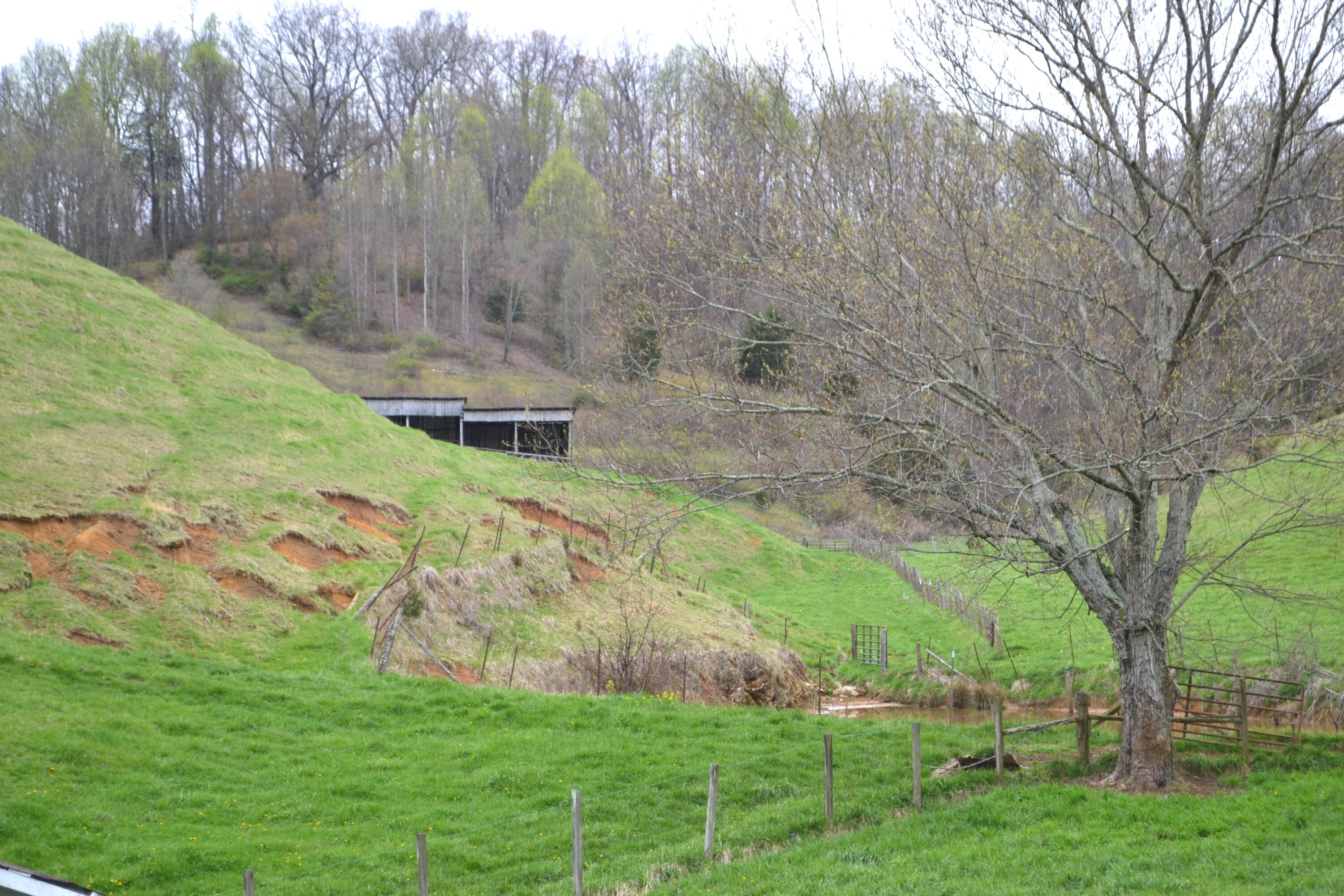 19660 Pairgin Road Bristol, VA 24202 - Photo 6 of 28 DSC_0294