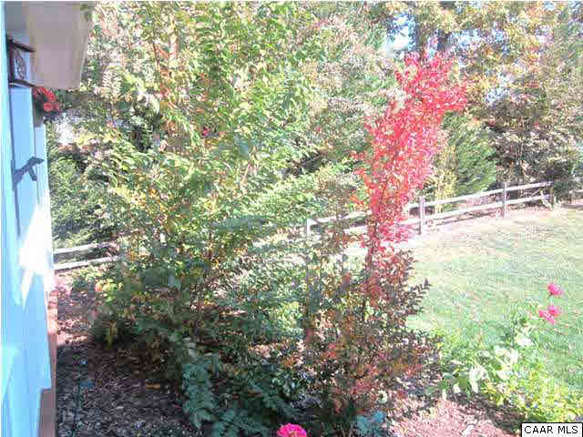 16 Vine Ridge Drive Palmyra, VA 22963 - Photo 29 of 30 a picture of tree
