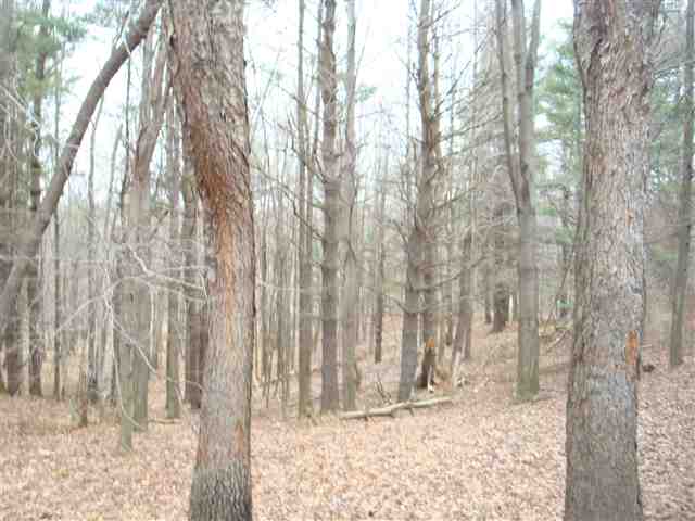 Vl Hough Road Dryden, MI 48428 - Photo 11 of 29 31082677-10.JPG