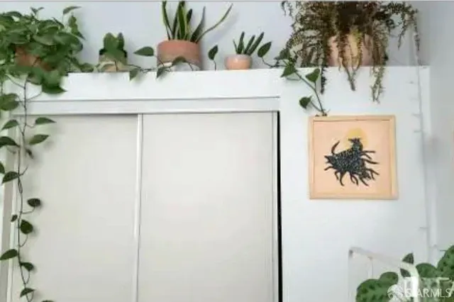 $3,200 | 363 22nd Avenue, San Francisco, CA 94121