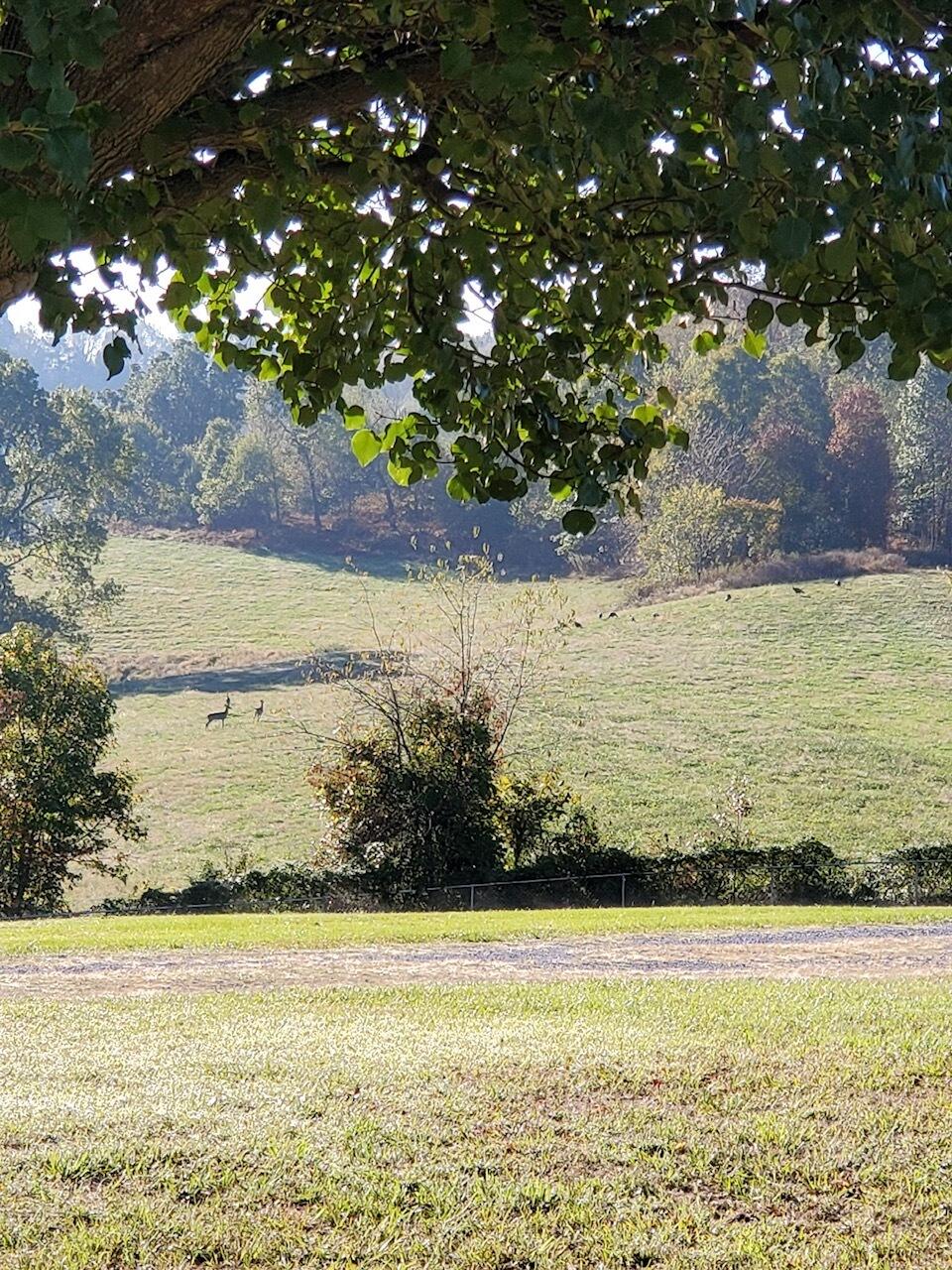 504 Bert Allen Road London, KY 40741 - Photo 50 of 50 Attachment (1)