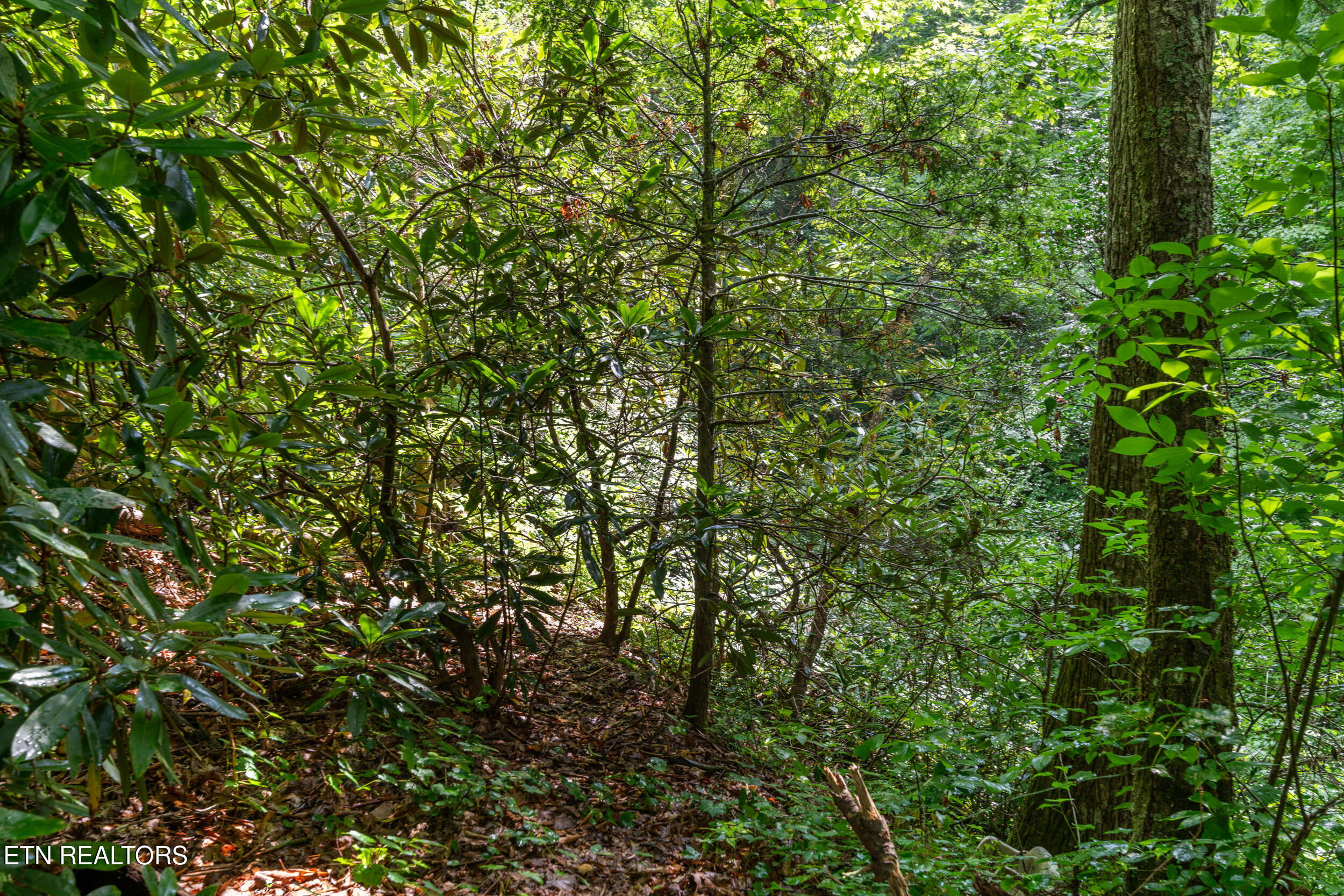 1941 Anderson Way Sevierville, TN 37876 - Photo 37 of 37 1941 anderson way-37