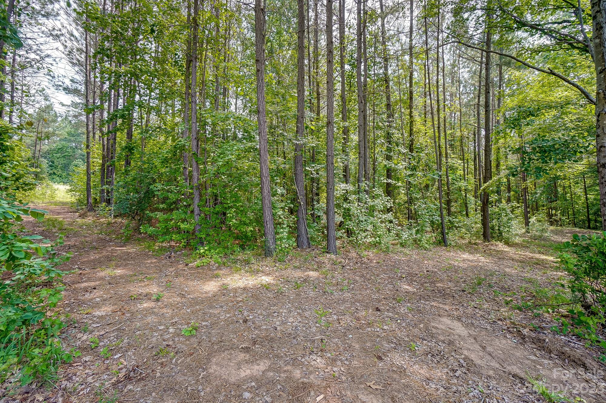 4321 Tucker Road Belmont, NC 28012 - Photo 20 of 25 Gallery Image 20