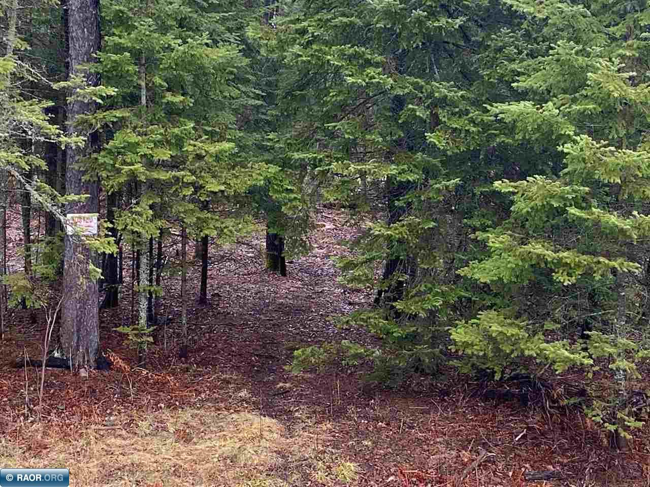 8783 Iron Junction Road Iron, MN 55751 - Photo 7 of 29