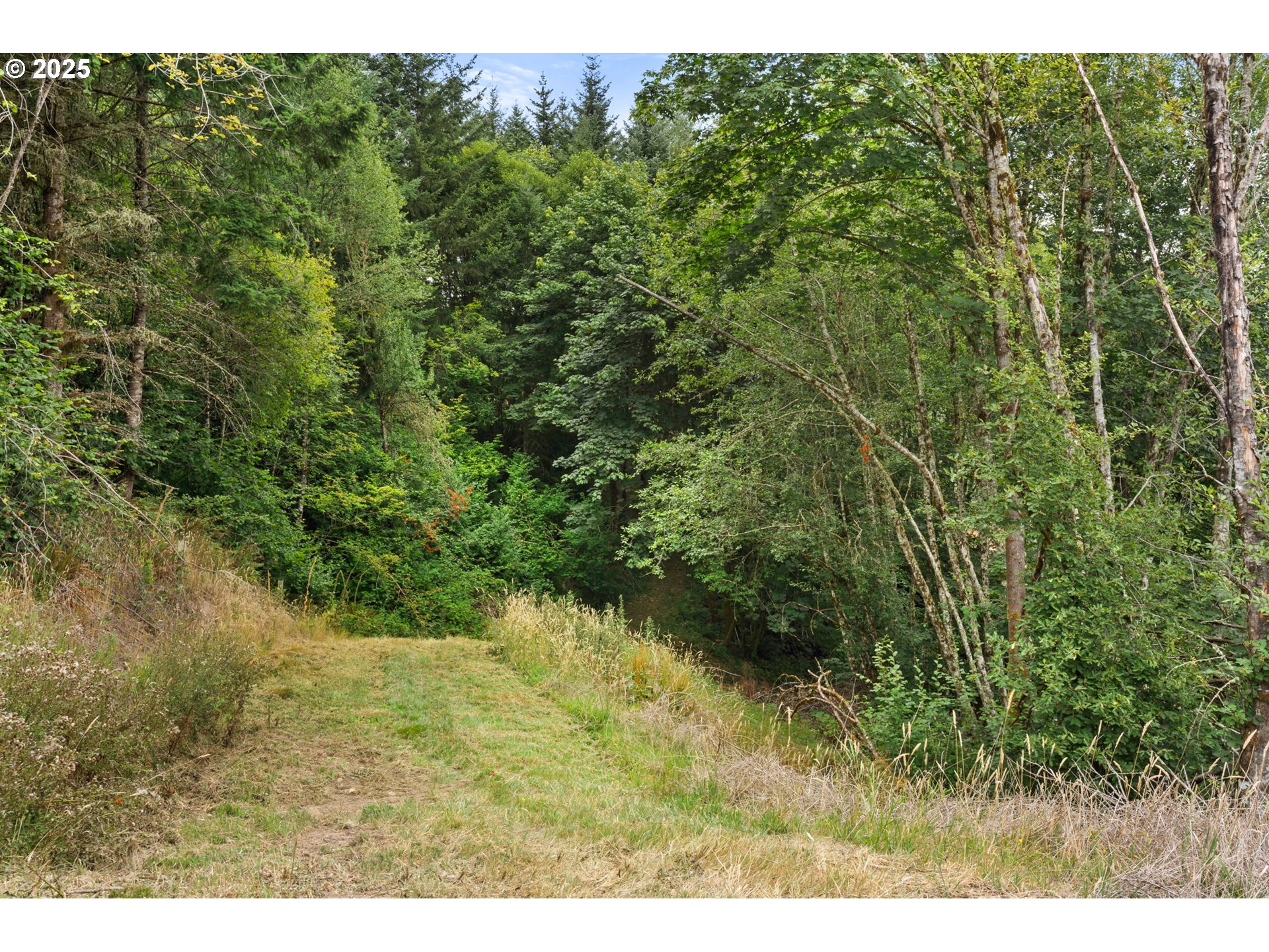 799 Mountain View Road Kalama, WA 98625 - Photo 28 of 37 Gallery Image 28