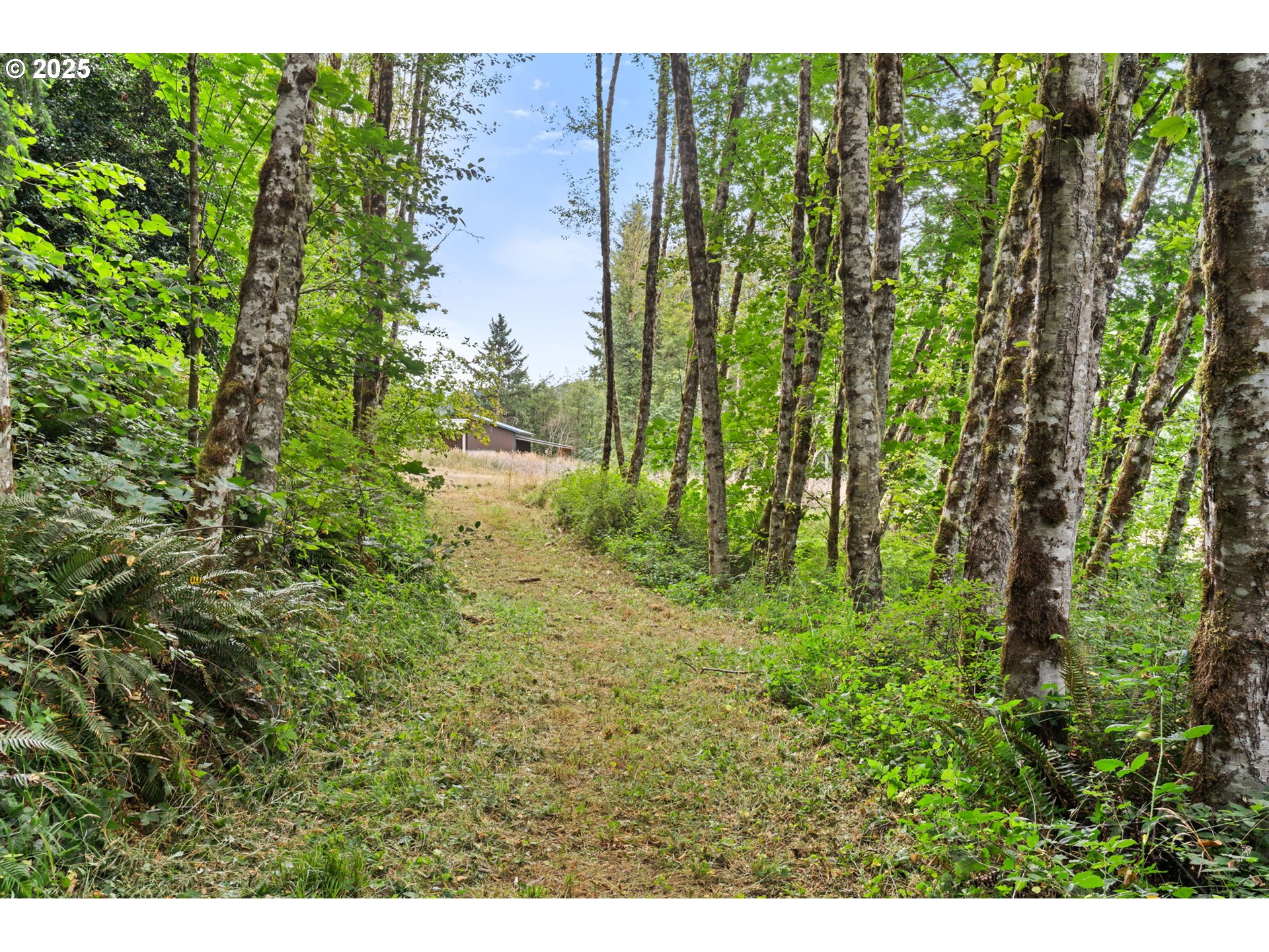 799 Mountain View Road Kalama, WA 98625 - Photo 29 of 37 Gallery Image 29