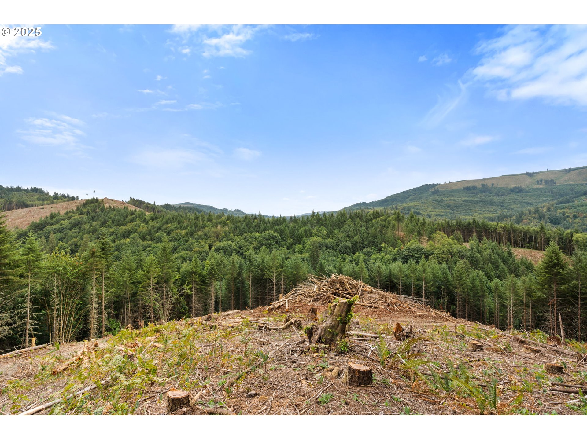 799 Mountain View Road Kalama, WA 98625 - Photo 32 of 37 Gallery Image 32