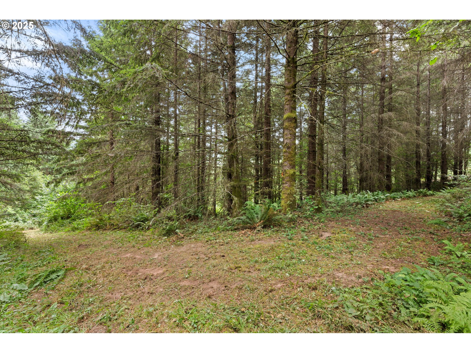 799 Mountain View Road Kalama, WA 98625 - Photo 33 of 37 Gallery Image 33